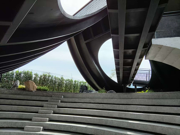 龙门千年古树项目